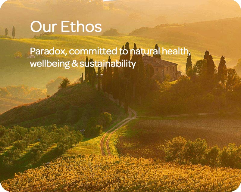 Our Ethos
